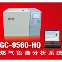 燃氣色譜分析系統(tǒng)