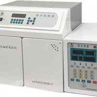 高效毛細(xì)管電泳儀（紫外檢測(cè)器）1030X