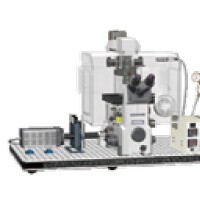 MetaMorph 細胞生物學成像分析軟件