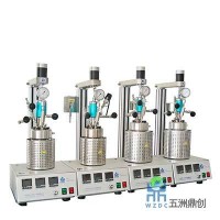 五洲鼎創(chuàng) WZCM 平行反應(yīng)釜