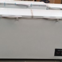 DE低溫試驗箱