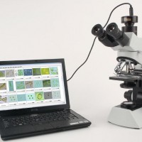 AlgaeC智能鑒定計數(shù)儀浮游動物鑒定計數(shù)模塊