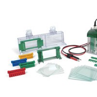 美國(guó)bio-rad伯樂165-8001Mini-ProteanTetra小型垂直電泳槽