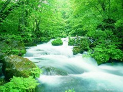 2.89億地表水國(guó)控?cái)嗝娌杉?wù)項(xiàng)目花落京誠(chéng)、科邦等檢測(cè)單位