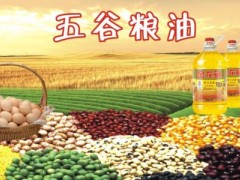 預算1000.2萬元 黑龍江省糧油衛(wèi)生檢驗監(jiān)測站發(fā)布儀器采購公告