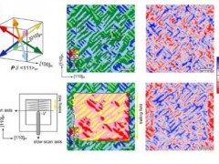 原子力顯微鏡(Atomic Force Microscopy)觀察多鐵薄膜中的磁疇翻轉(zhuǎn)