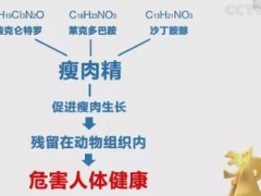 3.15曝出“瘦肉精”問題 液相色譜儀出具克倫特羅的測(cè)定方案