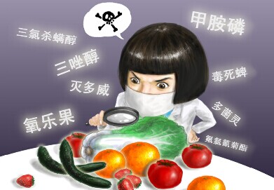 食品中有機氯農(nóng)藥的測定 GPC/SPE凈化-氣相色譜法