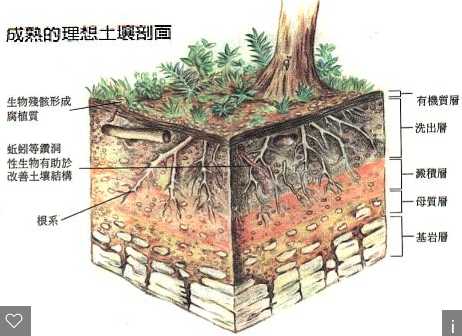 HJ 1184-2021《土壤和沉積物 6種鄰苯二甲酸酯類化合物的測(cè)定 氣相色譜-質(zhì)譜法》