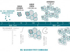 質(zhì)子交換膜燃料電池的催化劑漿料分析 X射線衍射 (XRD)、激光衍射和動(dòng)態(tài)光散射技術(shù)
