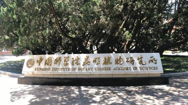 中國科學(xué)院昆明植物研究所預(yù)算180 萬元采購分選型流式細胞儀