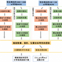 無人機遙感技術