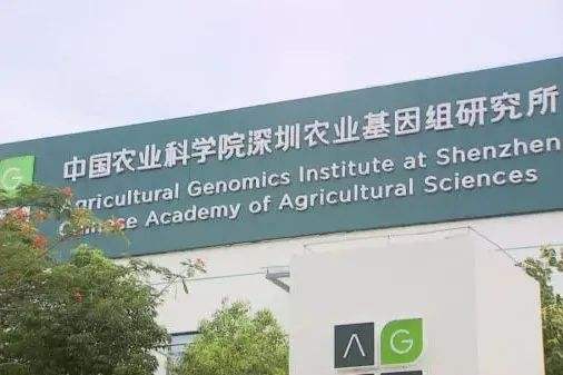 中國農(nóng)科院深圳農(nóng)業(yè)基因組研究所預(yù)算350萬元采購高分辨液質(zhì)聯(lián)用儀