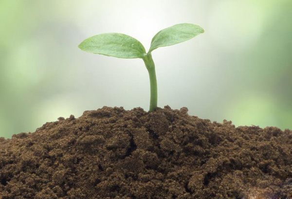 土壤中砷的測定 HGW-60微波消解儀 AFS-9750原子熒光光度計