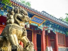 北京大學(xué)預(yù)算155萬(wàn)元 招標(biāo)采購(gòu)生物學(xué)X射線輻照儀