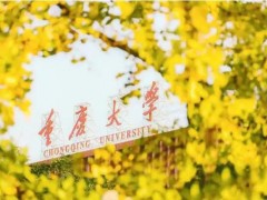 重慶大學(xué)預(yù)算120萬 招標(biāo)采購全自動多站比表面及孔徑分析儀