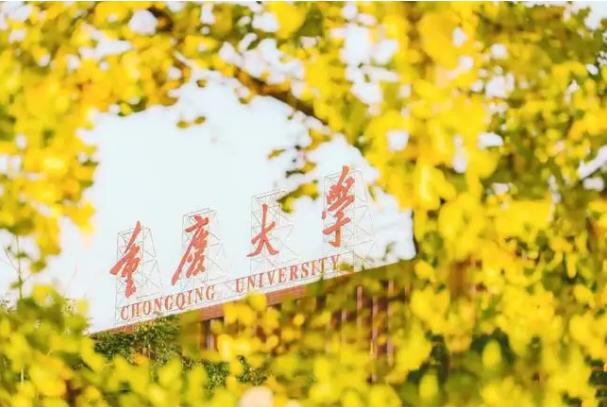 重慶大學(xué)預(yù)算120萬 招標(biāo)采購全自動(dòng)多站比表面及孔徑分析儀