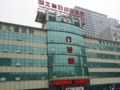 湖北省婦幼保健院預(yù)算260萬 競爭性磋商采購液相色譜質(zhì)譜聯(lián)用儀