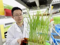 南農(nóng)國家作物種質(zhì)資源南京觀測實驗站預(yù)算82萬 采購質(zhì)構(gòu)儀、谷物分析儀