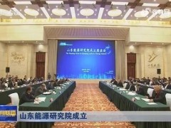 山東能源研究院預算128萬元 采購固體表面Zeta電位儀及氣質(zhì)聯(lián)用儀