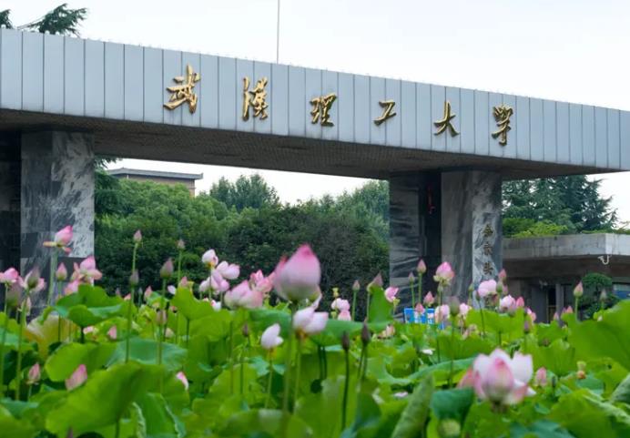 武漢理工大學平面激光誘導熒光測試系統(tǒng)染料激光器及便攜式氣體分析儀項目
