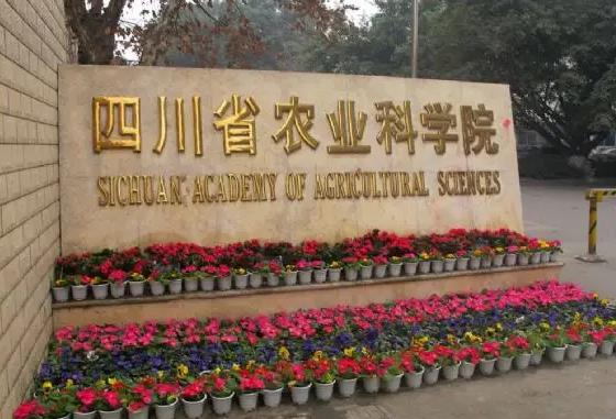 四川省農(nóng)業(yè)科學(xué)院預(yù)算260萬元 采購液相色譜-三重四極桿質(zhì)譜聯(lián)用儀