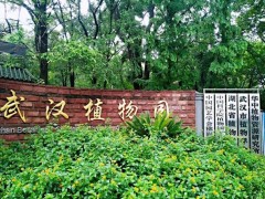 中科院武漢植物園375萬 采購水分含量檢測儀、可見光分析檢測儀等設(shè)備