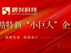 碧興物聯(lián)科技(深圳)股份有限公司榮獲國(guó)家級(jí)專(zhuān)精特新“小巨人”企業(yè)稱(chēng)號(hào)