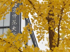 北京師范大學(xué)850萬 采購X射線電池原位結(jié)構(gòu)分析儀、固體核磁共振譜儀