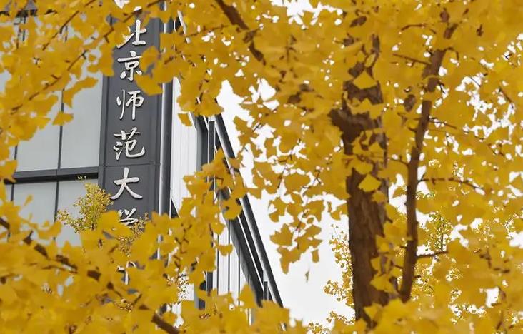北京師范大學(xué)預(yù)算850萬 采購X射線電池原位結(jié)構(gòu)分析儀、固體核磁共振譜儀