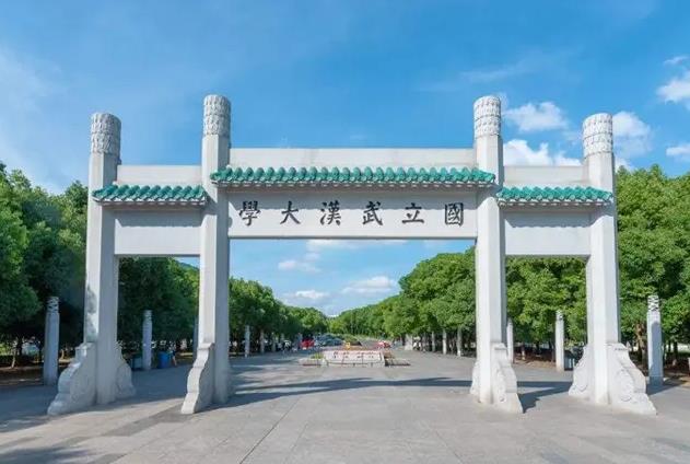 武漢大學(xué)采購X射線顯微鏡、共振波譜儀、有機元素分析儀等