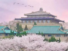 武漢大學(xué)1645萬(wàn)元 采購(gòu)顯微鏡、電感耦合等離子體質(zhì)譜、氣質(zhì)聯(lián)用儀等