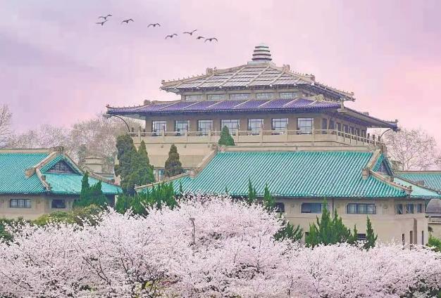 武漢大學(xué)預(yù)算1645萬元 采購顯微鏡、電感耦合等離子體質(zhì)譜、氣質(zhì)聯(lián)用儀等