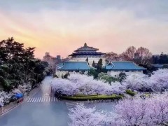 武漢大學(xué)2608萬(wàn) 采購(gòu)流式細(xì)胞儀、顯微鏡、PCR、離心機(jī)等通用設(shè)備