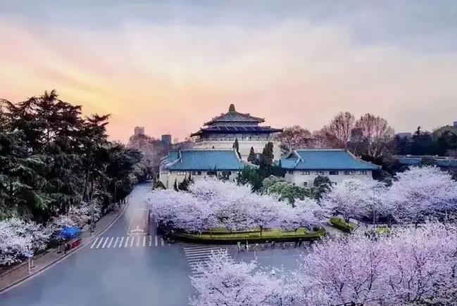 武漢大學預算2608萬 采購流式細胞儀