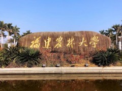 福建農(nóng)林大學(xué)預(yù)算65萬元 公開招標(biāo)采購熒光定量PCR儀等設(shè)備