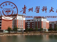 貴州醫(yī)科大學預算709萬 采購靜電場超高分辨液質(zhì)聯(lián)用儀等儀器設備