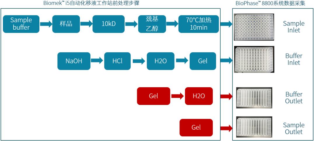 Beckman Biomek i5自動(dòng)化移液工作站與SCIEX高通量毛細(xì)管電泳BioPhase? 8800系統(tǒng)