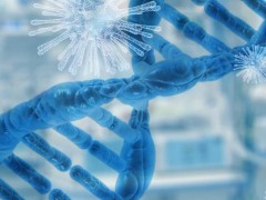中科南京生命健康高等研究院500萬(wàn) 采購(gòu)流式細(xì)胞分析儀、流式細(xì)胞分選儀
