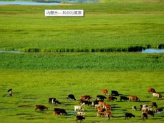 內(nèi)蒙古自治區(qū)水利科學(xué)研究院預(yù)算83萬 磋商采購實(shí)驗(yàn)中心實(shí)驗(yàn)儀器