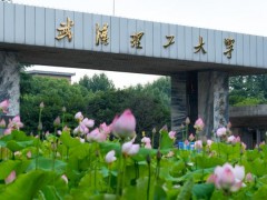 武漢理工大學(xué)預(yù)算300萬元 招標(biāo)交通類專業(yè)實(shí)驗(yàn)綜合平臺項(xiàng)目