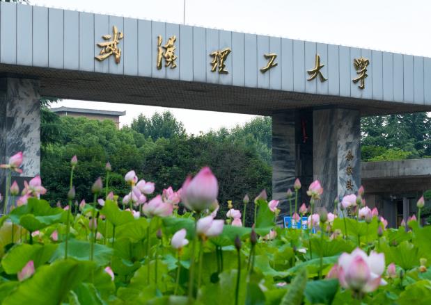 武漢理工大學(xué)預(yù)算300萬元 招標(biāo)交通類專業(yè)實(shí)驗(yàn)綜合平臺(tái)項(xiàng)目
