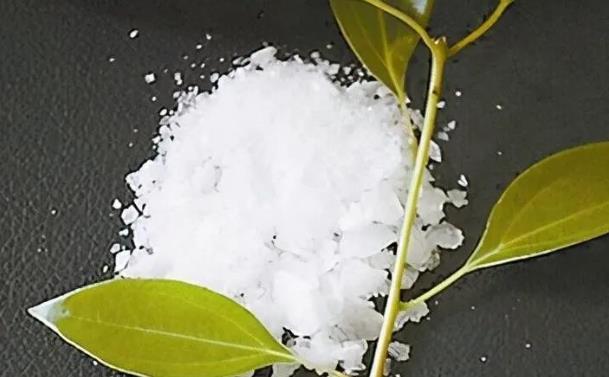 桉油精、龍腦含量的測定