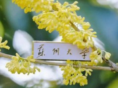 蘇州大學(xué)預(yù)算280萬(wàn)元 公開(kāi)招標(biāo)流式細(xì)胞儀