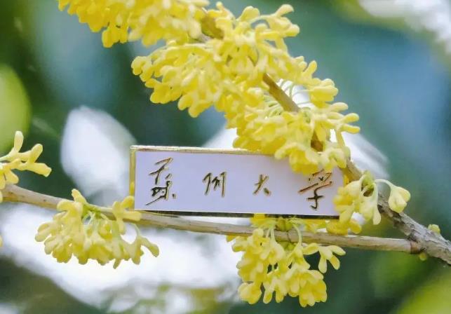 蘇州大學(xué)