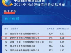 鋼研納克2024年品牌價(jià)值6.5億元 成功上榜“自主創(chuàng)新”組